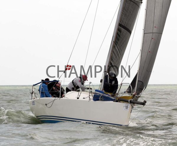 Ramsgate Week 2025-Thursday's Racing - Image 69