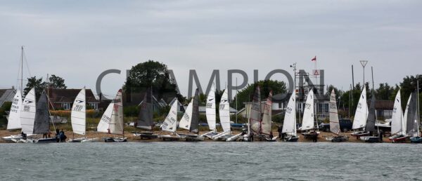 Stone Week - 2025 - Image 20