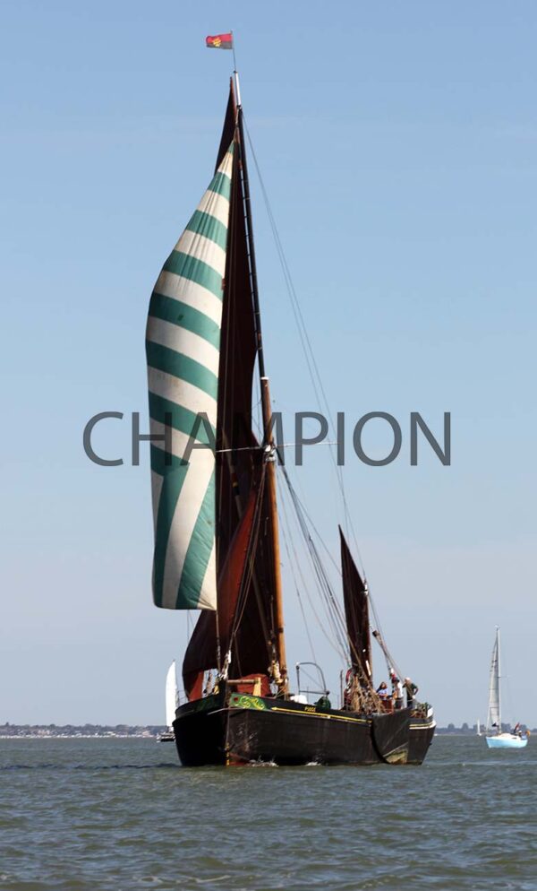 Essex Week - 2025 - Image 150