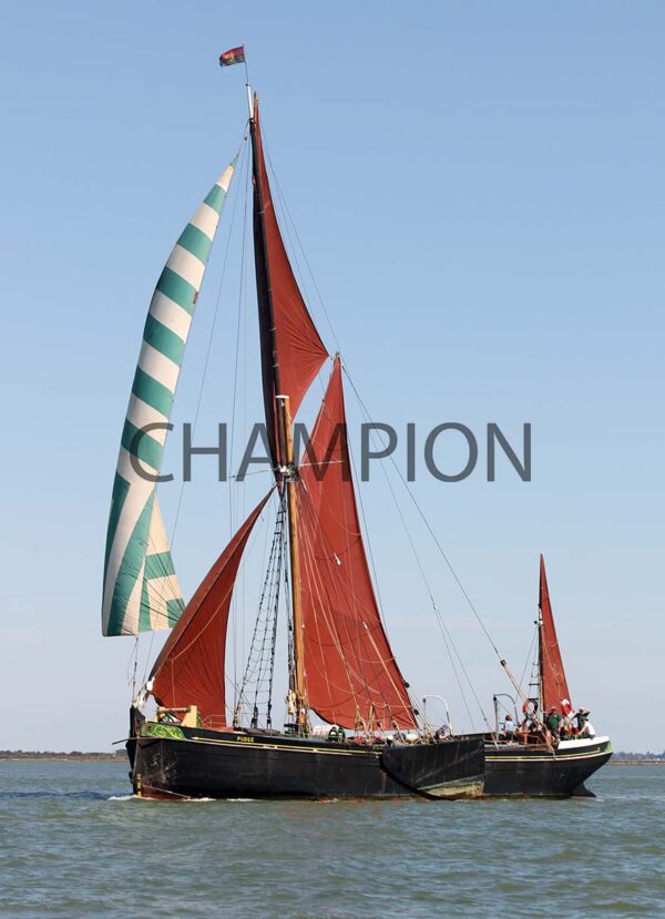 Essex Week - 2025 - Image 151