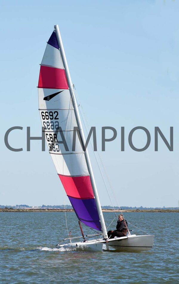 Essex Week - 2025 - Image 8